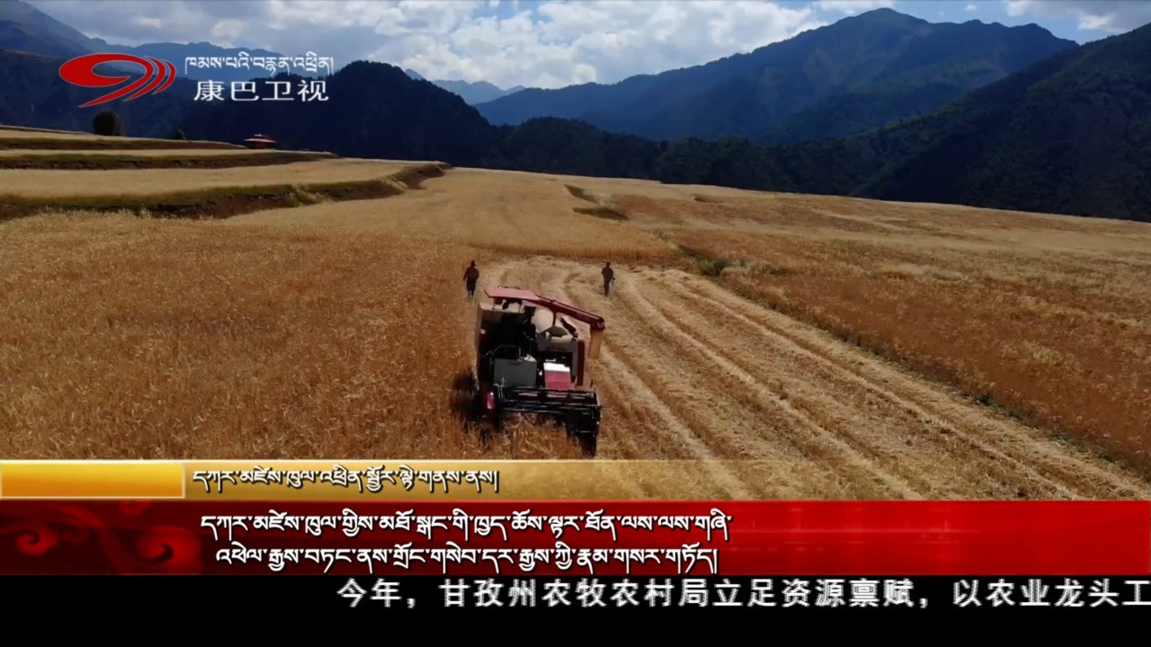 དཀར་མཛེས་ཁུལ་གྱིས་མཐོ་སྒང་གི་ཁྱད་ཆོས་ལྟར་ཐོན་ལས་ལས་གཞི་འཕེལ་རྒྱས་བཏང་ནས་གྲོང་གསེབ་དར་རྒྱས་ཀྱི་རྣམ་གསར་གཏོད།