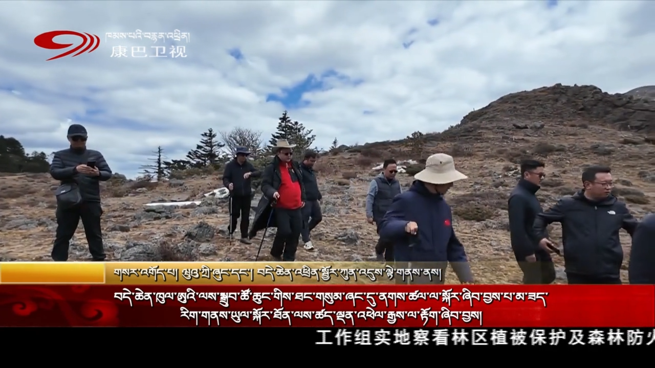བདེ་ཆེན་ཁུལ་ཨུའི་ལས་སྒྲུབ་ཚོ་ཆུང་གིས་ཐང་གསུམ་ཞང་དུ་ནགས་ཚལ་ལ་སྐོར་ཞིབ་བྱས་པ་མ་ཟད་རིག་གནས་ཡུལ་སྐོར་ཐོན་ལས་ཚད་ལྡན་འཕེལ་རྒྱས་ལ་རྟོག་ཞིབ་བྱས།
