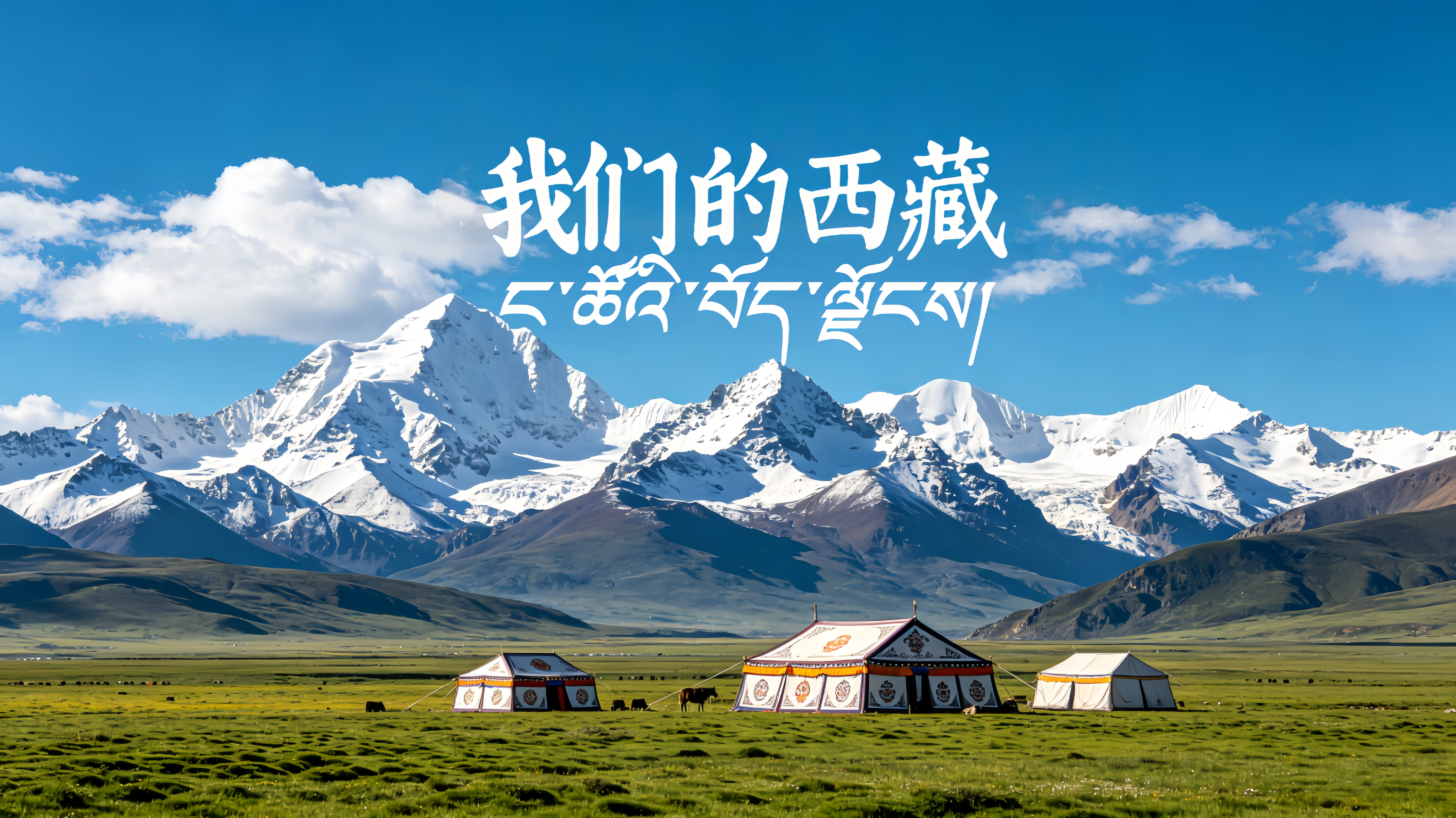 我们的西藏