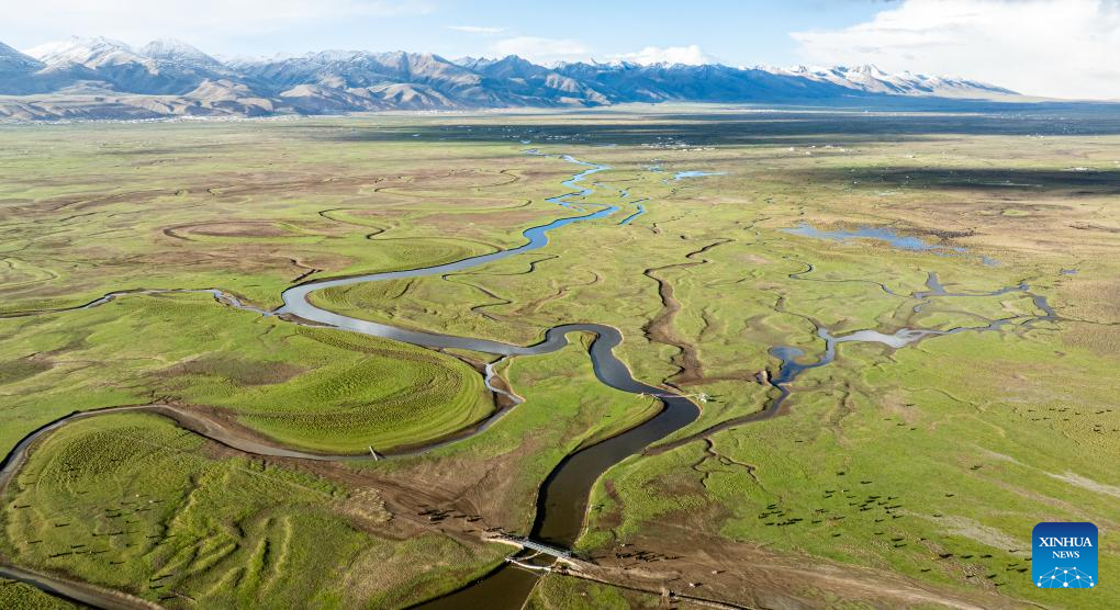 View of A Rag Wetland in Damxung County of Lhasa, China's Xizang
