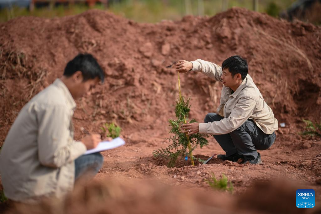 Research team makes efforts to conserve endangered species in China's Xizang