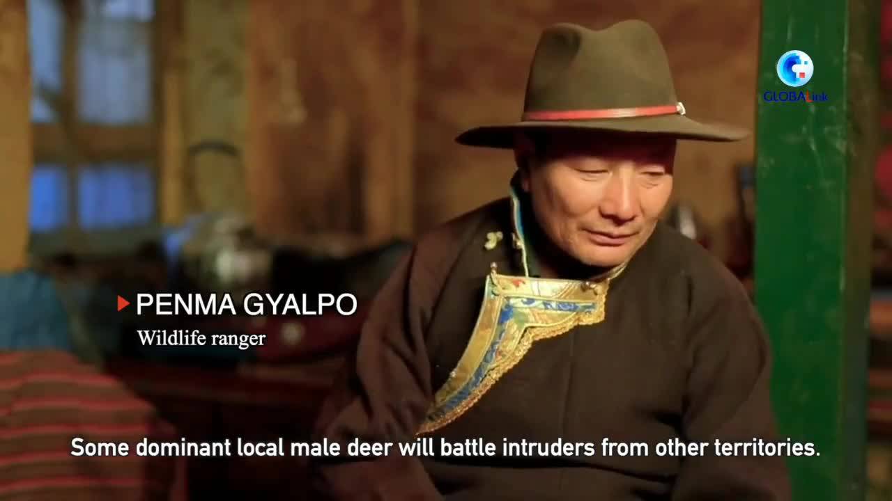 8.png