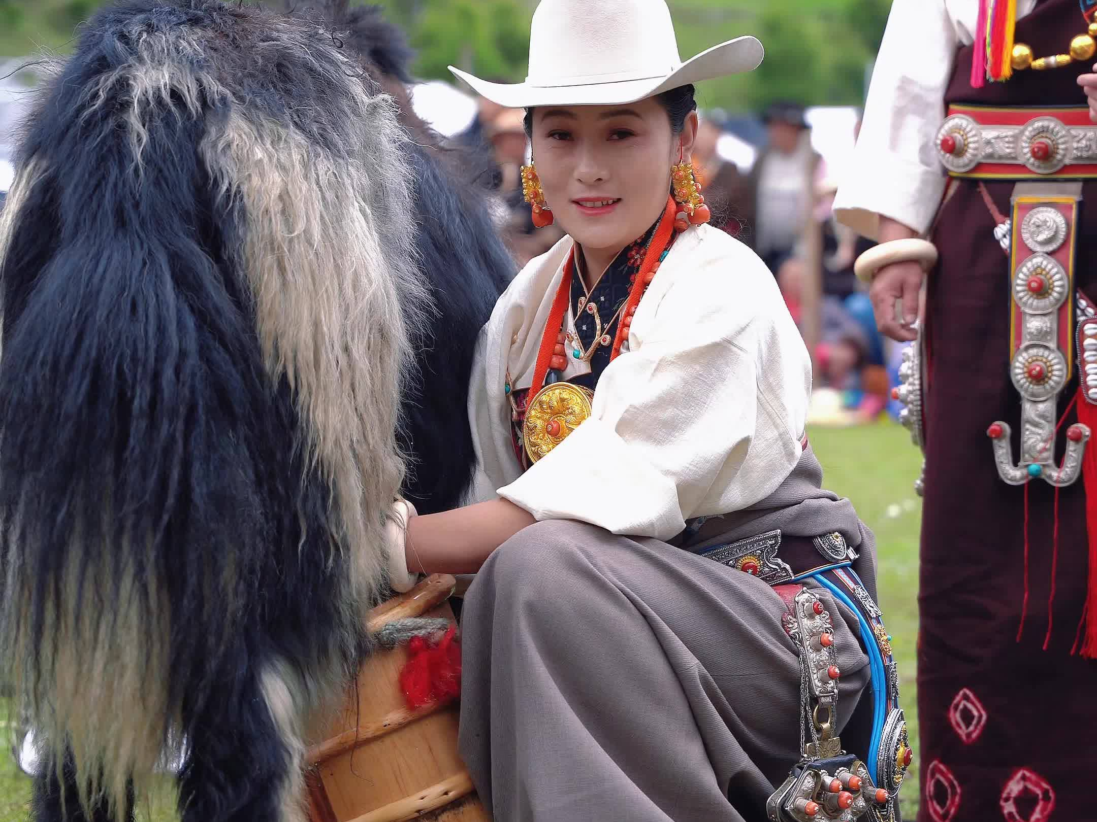 A video of #Tibetan women in festive attire milking yaks at the 9th Community Gathering in Quewa Luke Village, Dawu County