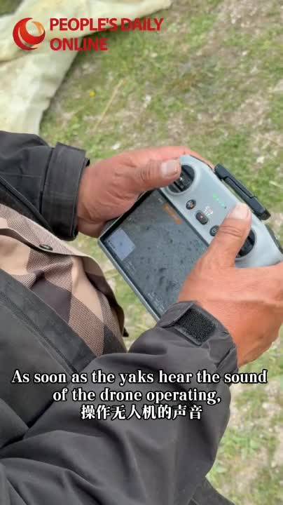 8.png