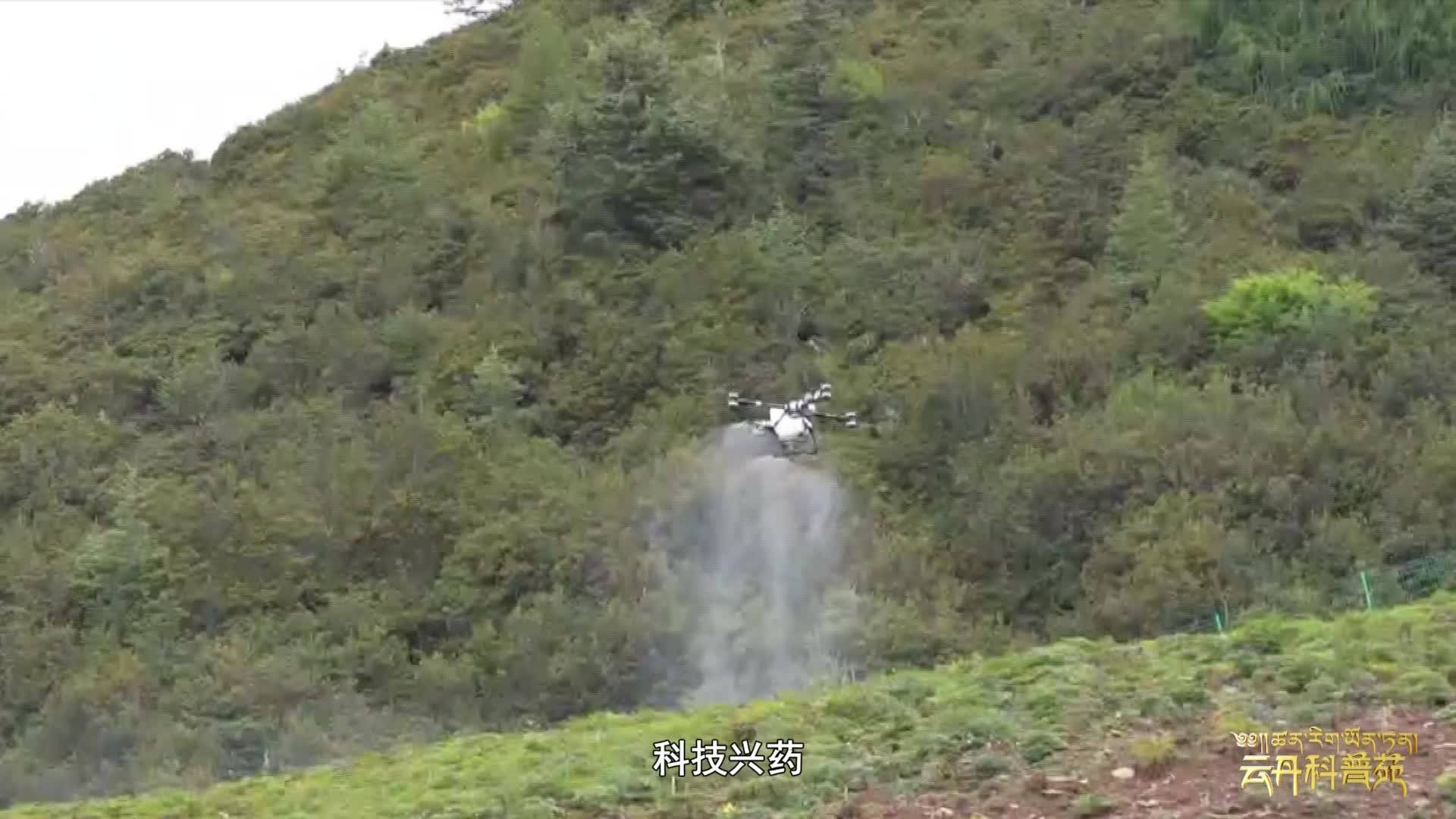 云丹科普苑260610高清播出版