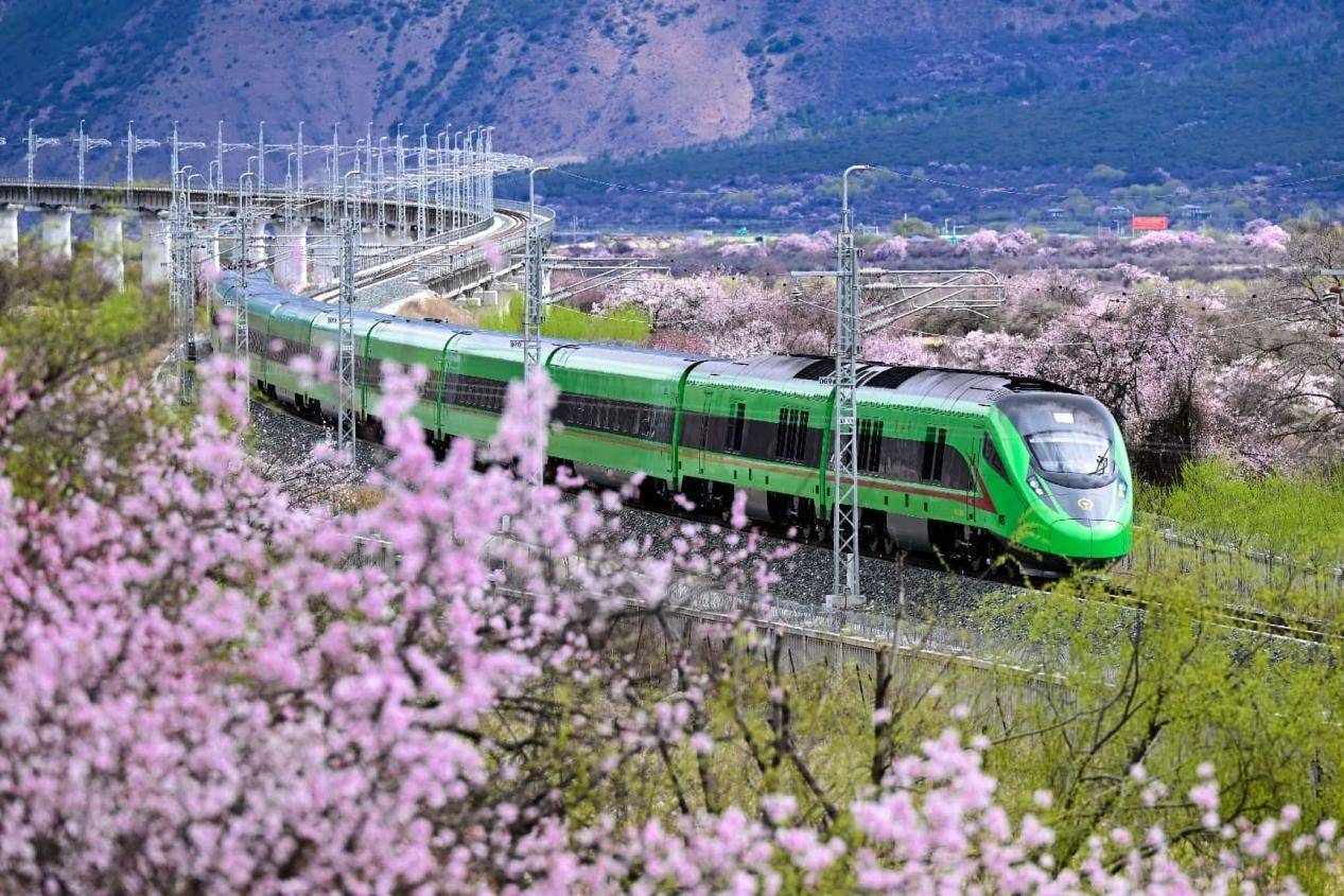 Lhasa-Nyingchi Railway: Five years fueling prosperity and development in Xizang