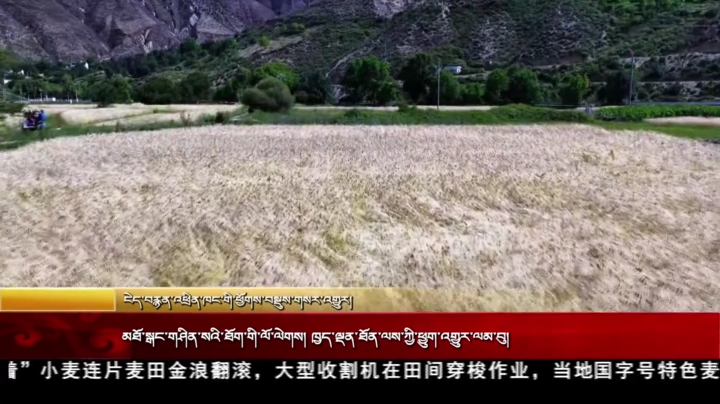 མཐོ་སྒང་གཤིན་སའི་ཐོག་གི་ལོ་ལེགས།  ཁྱད་ལྡན་ཐོན་ལས་ཀྱི་ཕྱུག་འགྱུར་ལམ་བུ།