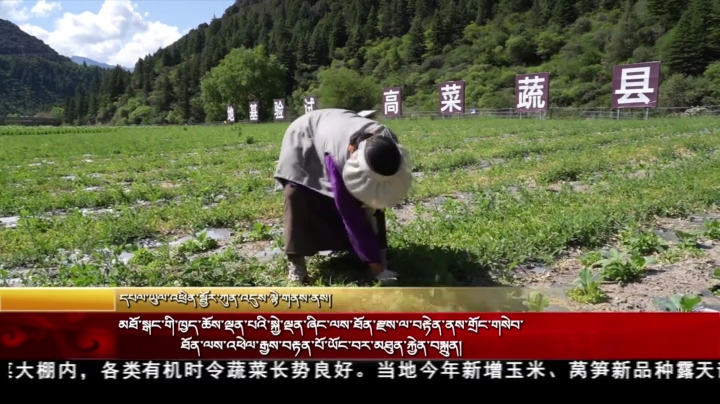 མཐོ་སྒང་གི་ཁྱད་ཆོས་ལྡན་པའི་སྐྱེ་ལྡན་ཞིང་ལས་ཐོན་རྫས་ལ་བརྟེན་ནས་གྲོང་གསེབ་ཐོན་ལས་འཕེལ་རྒྱས་བརྟན་པོ་ཡོང་བར་མཐུན་རྐྱེན་བསྐྲུན།