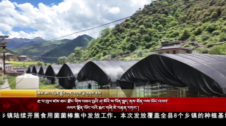 རྔ་བ་ཁུལ་ཛམ་ཐང་རྫོང་གིས་བཟའ་བྱའི་ཤ་མོའི་ས་བོན་སྤྲད་ནས་ཐོན་ལས་ཡོང་འབབ་འཕར་སྣོན་ཡོང་བའི་རྨང་གཞི་ཇེ་བརྟན་བཏང་།