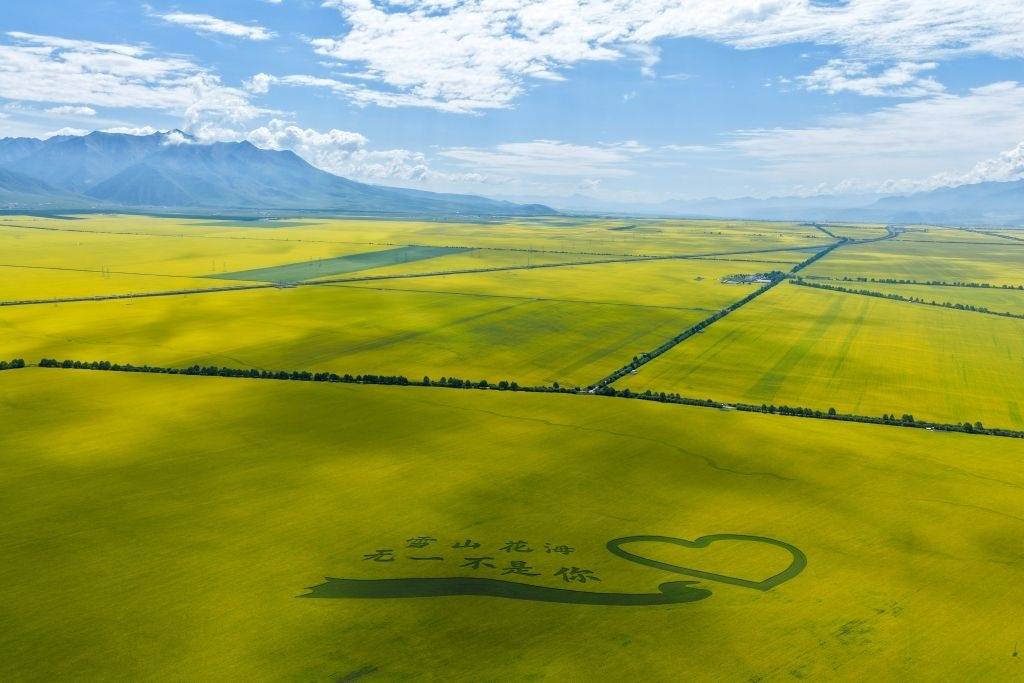 Summer scenery of China's Qinghai