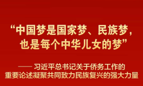 习近平总书记重要论述凝聚共同致力民族复兴强大力量
