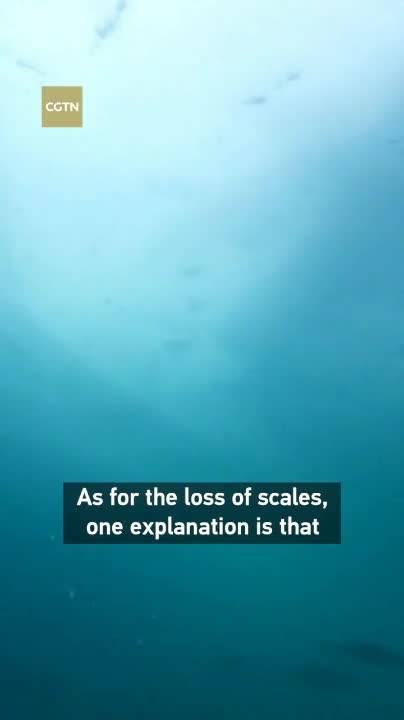 8.png