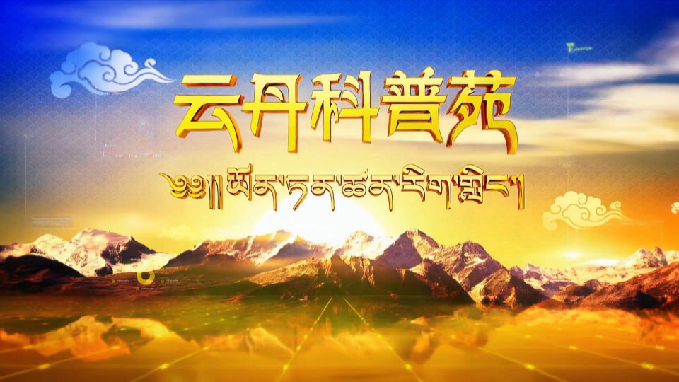高原本草科普|川贝母  羌活  甘松