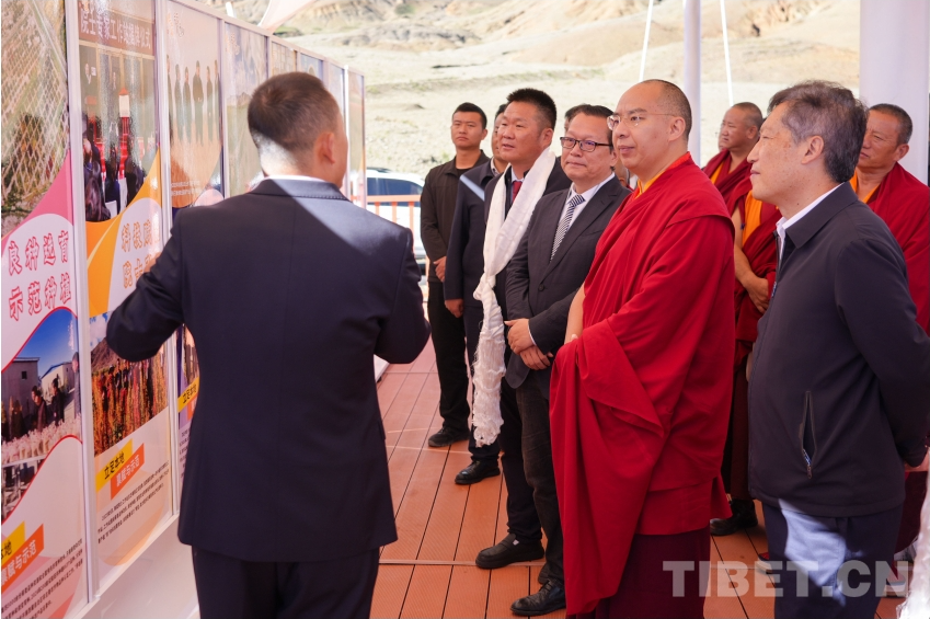 Panchen Erdeni Chos-kyi rGyal-po conducts research on quinoa industry in Sakya County, Xigaze