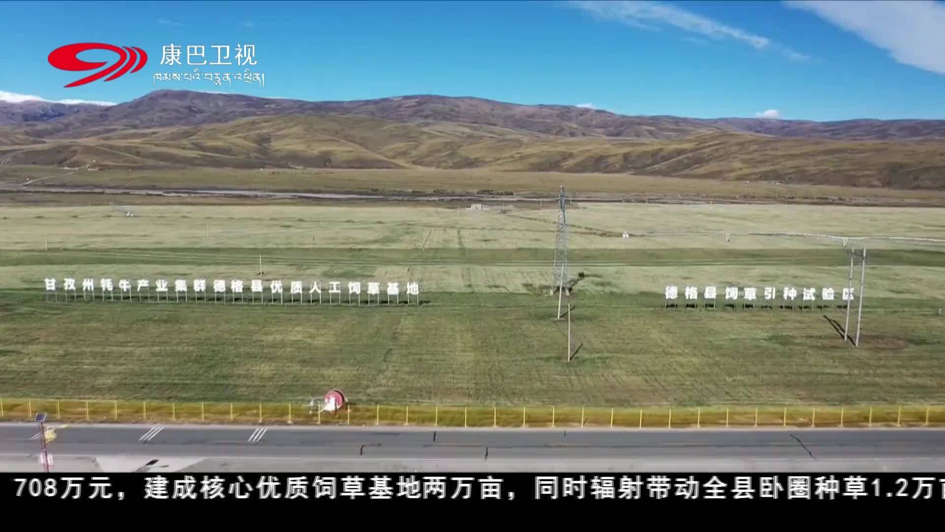 དཀར་མཛེས་སྡེ་དགེ་རྫོང་གིས་མཐོ་སྒང་གི་གཟན་རྩྭ་ཐོན་ལས་ལ་བརྟེན་ནས་མང་ཚོགས་ཕྱུག་འགྱུར་གྱི་རྣམ་པ་གསར་པ་གཏོད།