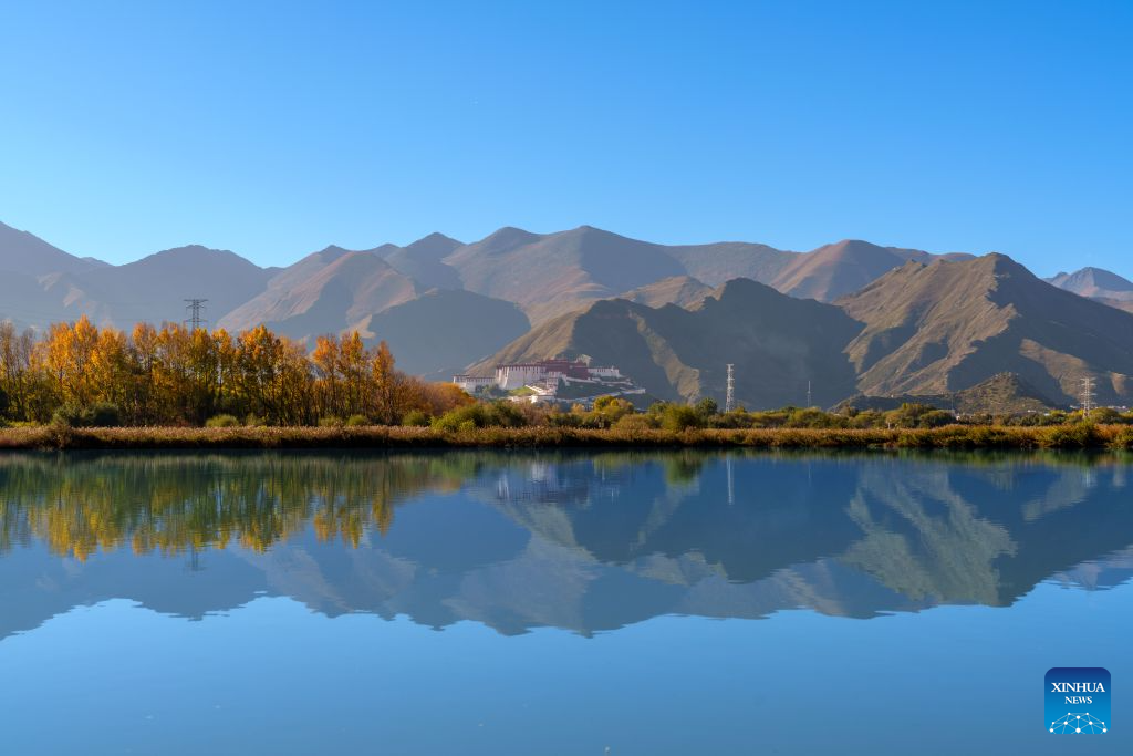 Scenery of Lhalu wetland in Lhasa, China's Xizang