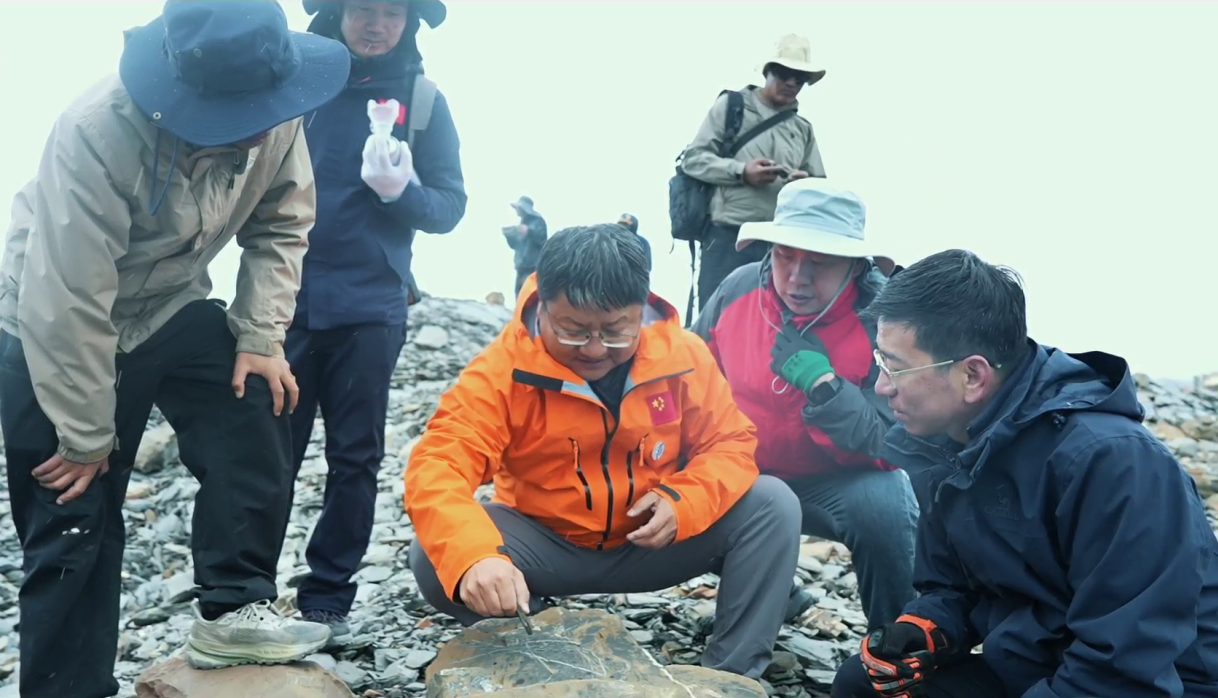 冰川脉动下的高原答卷——青藏高原冰湖链生灾害综合科学考察队纪实 冰川脉动下的高原答卷——青藏高原冰湖链生灾害综合科学考察队纪实