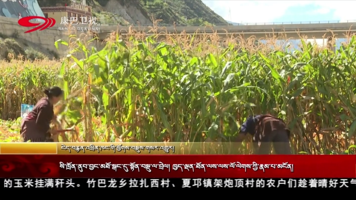 སི་ཁྲོན་ནུབ་བྱང་མཐོ་སྒང་དུ་སྟོན་བསྡུ་ལ་བྲེལ།  ཁྱད་ལྡན་ཐོན་ལས་ལོ་ལེགས་ཀྱི་རྣམ་པ་མངོན།
