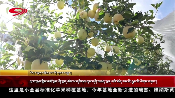 རྔ་བ་ཁུལ་གྱིས་མཐོ་སྒང་གི་ཁྱད་ཆོས་ལ་དམིགས་ནས་དགེ་མཚན་ལྡན་པའི་ཐོན་ལས་ཇེ་རྒྱས་ཇེ་ལེགས་བཏང་།