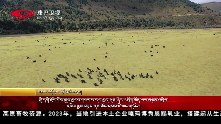སྡེ་དགེ་རྫོང་གིས་ནུས་ཁུངས་གསར་པ་དང་ཁྱད་ལྡན་ཞིང་འབྲོག་ཐོན་ལས་མཉམ་འབྲེལ་འཕེལ་རྒྱས་བཏང་ནས་ཡོང་འབབ་ཇེ་མང་གཏོང་།