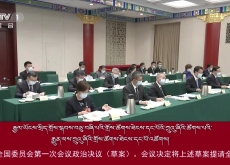 རྒྱལ་ཡོངས་སྲིད་གྲོས་སྐབས་བཅུ་གཞི་པའི་གྲོས་ཚོགས་ཐེངས་དང་པོའི་ཀྲུའུ་ཞིའི་ཚོགས་པའི་རྒྱུན་ལས་ཀྲུའུ་ཞིའི་གྲོས་ཚོགས་ཐེངས་དང་པོ་འཚོགས།