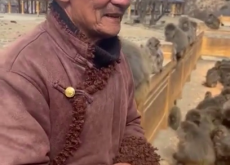 སྤྲེའུ་གང་ག་དང་བགྲེས་སོང་སྟོབས་རྒྱལ་བར་གྱི་ཡིད་འོང་གི་གཏམ་རྒྱུད།