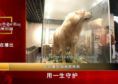 ལུན་ཡོན་དང་འབྲོག་ཁྱི་བར་གྱི་གཏམ་རྒྱུད།