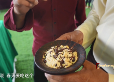 དུས་བཞིའི་བོད་ཟས།