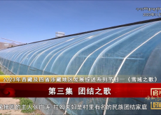 《གངས་ལྗོངས་ཀྱི་བསྟོད་གླུ》ལེའུ་གསུམ་པ།  མཐུན་སྒྲིལ་གྱི་བསྟོད་གླུ།  （༢༤.༠༢.༡༩）