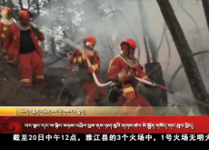 བར་སྣང་དང་ས་སྟེང་མཉམ་འབྲེལ་བྱས་ནས་ཉག་ཆུའི་ནགས་ཚལ་མེ་སྐྱོན་གསོད་གང་ཐུབ་བྱེད།