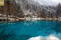 Winter majesty of SW China's Jiuzhaigou Valley