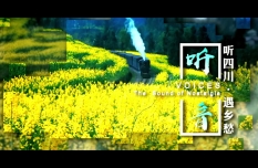 Explore All Sides of Sichuan!
