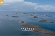 Rim of Qinghai Lake Series | Episode 1: A Sea on Plateau
