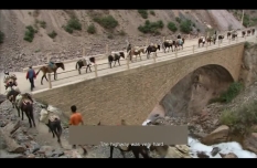 Caravan along the ancient Tea Horse Road