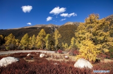 Autumn scenery of Shuiwa Township in China's Sichuan