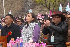 Dance -- The Beautiful Gongbo Akyi