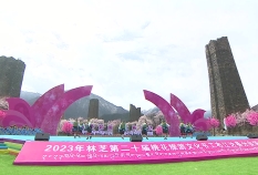 Dance -- Gongbo Shooting Whistling Arrows Performance