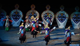 数说宝“藏”·70年巨变丨60万人！技能培训让西藏农牧民体验多彩人生