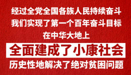 习近平代表党和人民庄严宣告，经过全党全国各族人民持续奋斗，我们实现了第一个百年奋斗目标