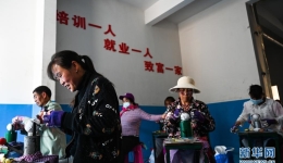 奋斗百年路 启航新征程·牢记初心使命争取更大光荣｜新生活新奋斗的起点——各地巩固脱贫成果衔接推进乡村振兴