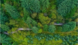 依托生态资源 壤塘不断拓宽农民群众增收渠道