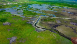 若尔盖湿地：归来与重生