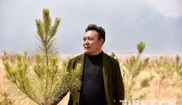 Sonam Norbu’s “dream of planting trees”