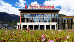 雪域欢歌70载·西藏启航新时代｜在西藏，沿着铁路崛起多条产业带