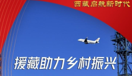 雪域欢歌70载·西藏启航新时代丨让乡村在产业振兴中走向富裕——湖北对口支援西藏山南市见闻
