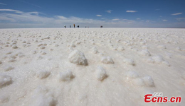 China largest lithium extraction project enters trial operation