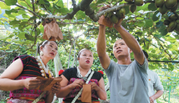 Technology brings rural Tibetans closer to modern world