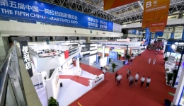 China Focus: Low carbon development diversifies China-Arab energy cooperation