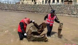 守护长江支流的青海“哈达义警”