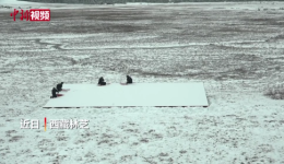 西藏移民警察雪中巡逻踏查 守护边关国旗